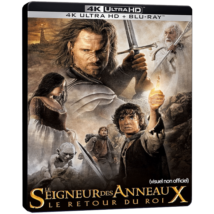 le retour du roi 4k steelbook provisoire
