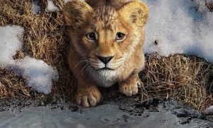 SLIDER film mufasa première bande annonce