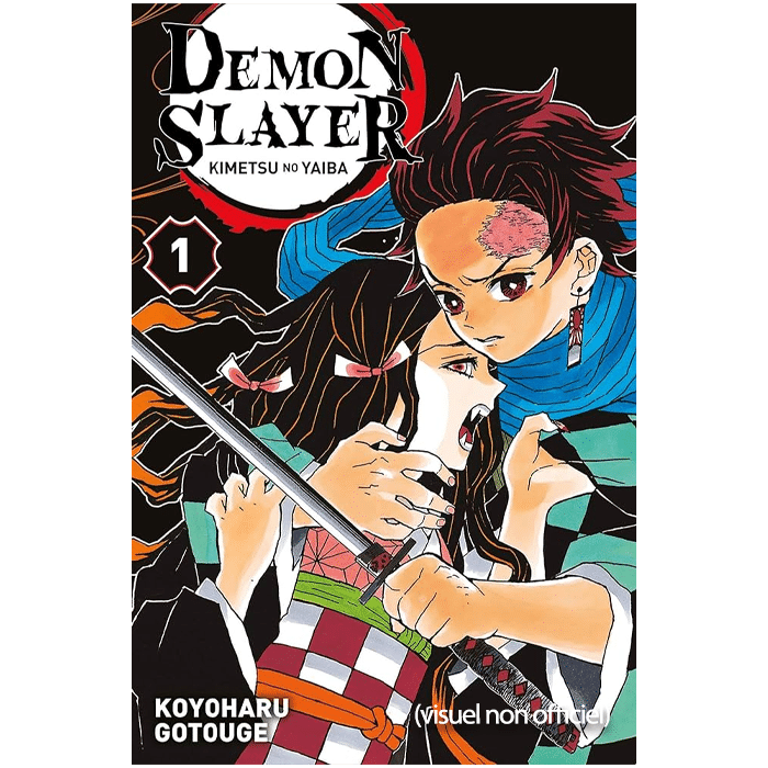 demon slayer tome 1 collector noel visuel produit