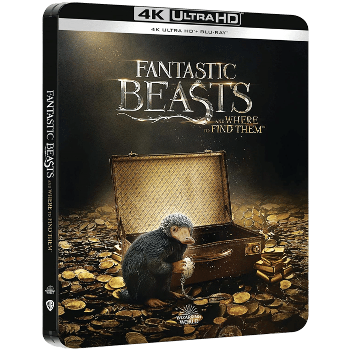 les animaux fantastiques steelbook limite blu ray 4k visuel produit