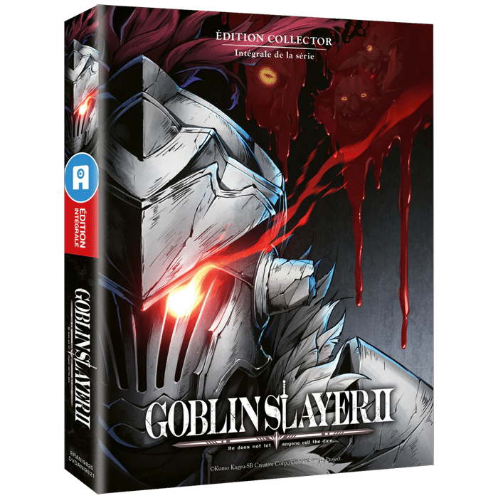goblin slayer saison 2 edition collector blu ray visuel produit
