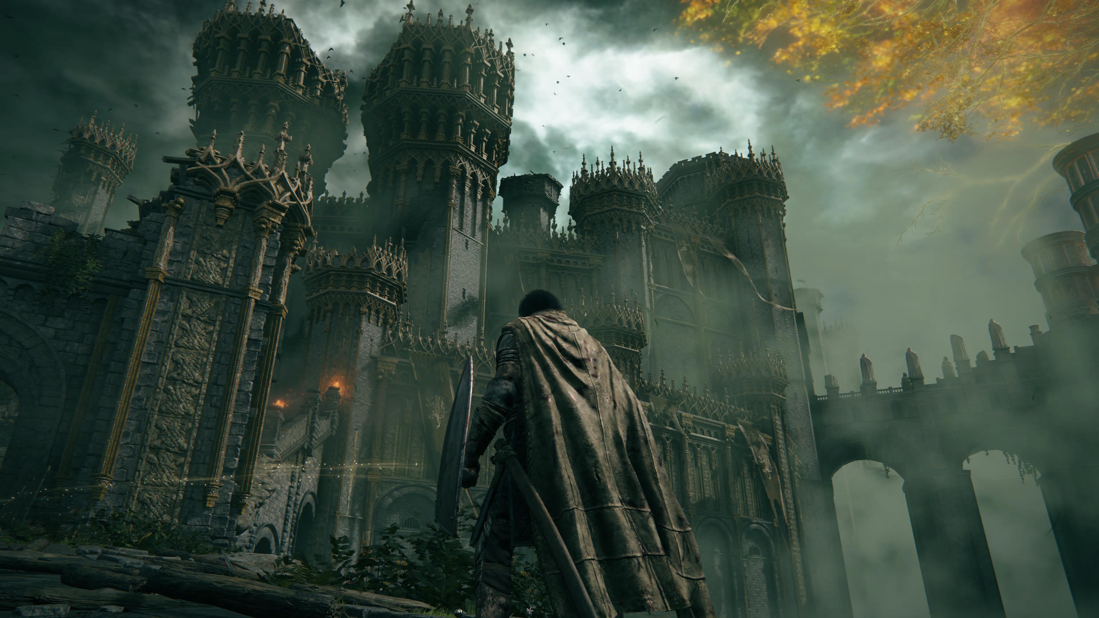 test elden ring screenshot 16