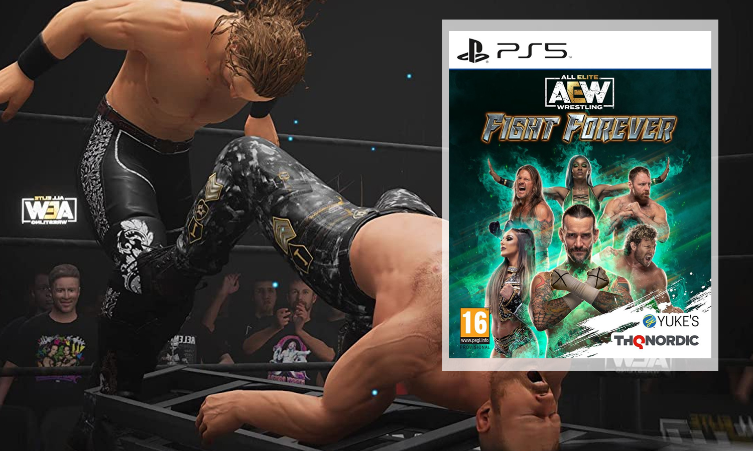 AEW fight forever ps5 visuel slider